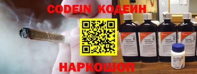 индика Обь