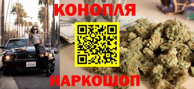 индика Обь