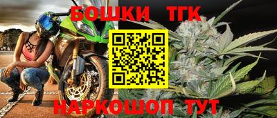 индика Обь